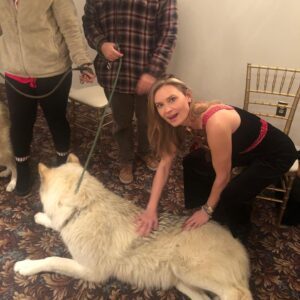Kristina Klebe Instagram - Did I mention I’m a #wolf whisperer? No but seriously watch the progression of these photos taken within 5 minutes. I was told by his handler that #ORION -who is 96% wolf -does not lay down in front of strangers … I cheated - I sent him some #reiki energy 😝 also, though, I am part wolf 😝 #animallover #wolflover #savethewolves #spiritanimal #christmasgift #christmassurprise #merrychristmas #love #rescueanimals