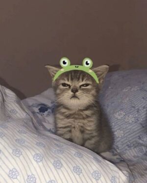 Kyla Kenedy Instagram - same energy