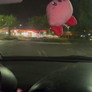Kylie Rogers Instagram - baby’s first driving lesson