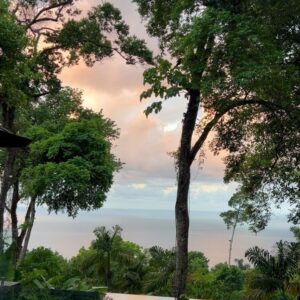 Kylie Bunbury Instagram - So much vitality here 🌱 the elements ask that you open & listen. And our Rumi was the nectar of every moment🥹🌺