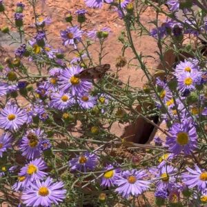 Kylie Bunbury Instagram - Enrichment through presence 🤎🌾🌼October’s been sweet