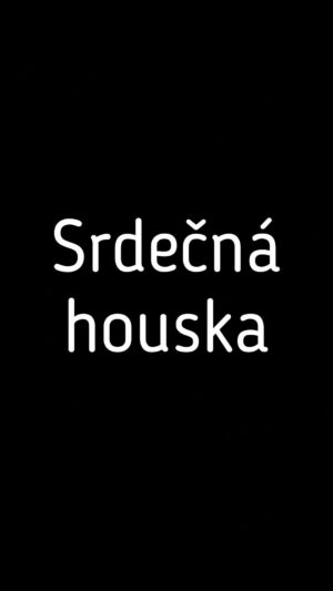 Ladislava Něrgešová Instagram - Sladkého pečiva nejen pro děti není nikdy dost. 😊 A tohle je prostě houska. A kdo jí chce slanou-dá místo cukru/sýr. Tadaaaa! ❤️ Pečeme 20 minut na 180C