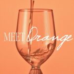 Lake Bell Instagram - Get some *skin contact* in your life. Proud to share this Orange wine and the tangerine-tinted dreamscape we built for it. We had an incredible team of female creators and multigenerational / LGBTQ / BIPOC talent come together to make this happen. @lakebell @vincint @taylordvasek @mayamused @simone.niamani @lizbarclay_