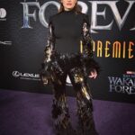 Lake Bell Instagram - A night to remember. #wakandaforever @marvelstudios @marvel Fit @albertaferretti @louboutinworld @zadrianandsarah Glam @lizlash @deanroybal