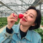 Lanlalin Tejasa Weckx Instagram - Strawberry Hunter!!!