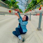 Lanlalin Tejasa Weckx Instagram - Strawberry Hunter!!!