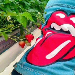 Lanlalin Tejasa Weckx Instagram - Strawberry Hunter!!!