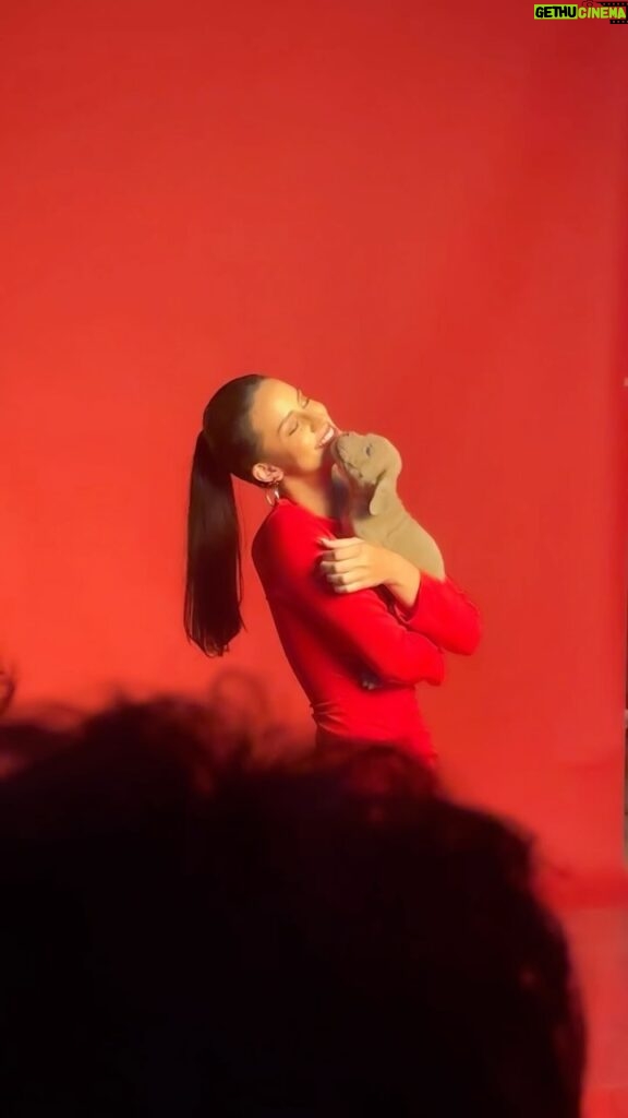 Larissa Bonesi Instagram - My most favorite campaign shoot ever, specially for sharing the screen with my lil princess and new model in town @chloebonesi ! ♥️🐶🐾🐱 #ComingSoon #BTS
