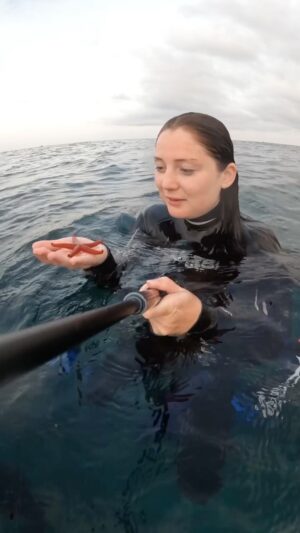 Laurène Arnoux Instagram - Mon premier reel insta wow incroyable