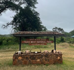 Laura Adriani Instagram - Africa - Kenya (Safari)

1. Per la prima volta nella mia vita ho azzeccato un outfit
2. Il safari inaspettato
3. Per i nostri trent’anni abbiamo deciso di regalarci un viaggio in Kenya
4. Uno di quei tramonti che non dimenticherò mai
5. La mia compagna di banco dal 2004
6. L’alba più bella della mia vita
7. La nostra guida pienah di noi dopo poche ore
8. Noi innamorate
9. Le costanti protagoniste di questi giorni: CAVALLETTE E ISTERIA

Hakuna matatina per i nostri trent’anni amiche mie 🤍
#hakunamatatina30