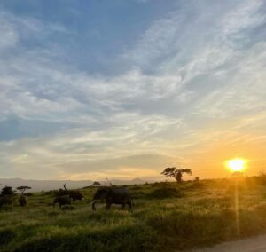 Laura Adriani Instagram - Africa - Kenya (Safari)

1. Per la prima volta nella mia vita ho azzeccato un outfit
2. Il safari inaspettato
3. Per i nostri trent’anni abbiamo deciso di regalarci un viaggio in Kenya
4. Uno di quei tramonti che non dimenticherò mai
5. La mia compagna di banco dal 2004
6. L’alba più bella della mia vita
7. La nostra guida pienah di noi dopo poche ore
8. Noi innamorate
9. Le costanti protagoniste di questi giorni: CAVALLETTE E ISTERIA

Hakuna matatina per i nostri trent’anni amiche mie 🤍
#hakunamatatina30