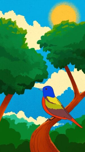 Laura White Instagram - ✨LINK IN BIO✨

I’m so excited to finally share this short animation I made in collaboration with charity @rare_org!🍃 

The focus of this piece is the Painted Bunting, a beautiful bird that resides in the Audubon Francis Beidler Forest in South Carolina. This species, as well as many others, are under constant threat of their home being destroyed through deforestation. Rare’s goal is to preserve these incredible forests so wildlife like the Painted Bunting can be kept safe in their natural habitat, while also using effective measures to combat climate change 💛🌱

If you would like to donate, simply click the link in my bio. Rare relies on donations to help fund preservation projects like these so any amount, big or small, is hugely appreciated. Thank you! 💕
.
.
#animation #illustration #rarecharity #charity #artwork #loop #drawing #2danimation #paintedbunting #bird #nature #natureart #framebyframe #digitalart #shortfilm