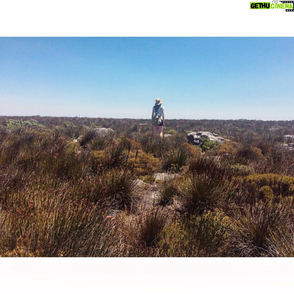 Laura Berlin Instagram - tschüss südafrika! es war sehr schön! ich hab kapstadt richtig lieb gewonnen! und wieder ist ein weißer fleck auf meiner weltkarte schön bunt geworden! tschüss, sonne und strand und berge und nette menschen! ab ins trübe berlin, da beginnt gerade der berlinale-zirkus. ;) ich grüße euch! #southafrica #capetown #safari #travel #tablemountain #lionshead