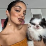 Laura Castro Instagram - minha neném agora tem uma conta no insta!! @cacaudalau pra quem quiser acompanhar mais de perto essa bolinha de pelo linda da minha vida 🥰🐶