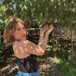 Laura Esquivel Instagram - que fruta noble el vino 🍷🍇 ya te extraño Mendoza 🫶🏻.. pero para no extrañarte tanto estoy armando vlogs en TikTok.. pueden ir a verlos en el link que está en mi Bio 😉 así compartimos juntos un poco de mi viaje.