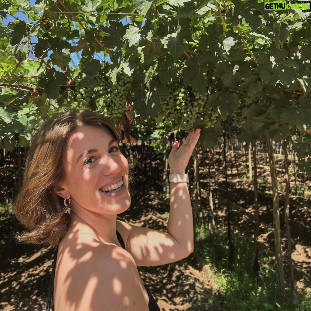 Laura Esquivel Instagram - que fruta noble el vino 🍷🍇 ya te extraño Mendoza 🫶🏻.. pero para no extrañarte tanto estoy armando vlogs en TikTok.. pueden ir a verlos en el link que está en mi Bio 😉 así compartimos juntos un poco de mi viaje.