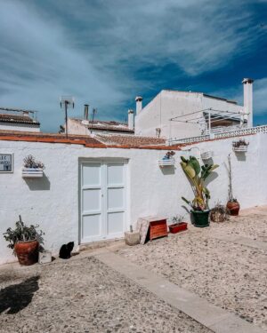 Laura Gadea Instagram - Me encantó conocer la isla de Tabarca, esta época es perfecta para conocer esta pequeña isla y disfrutar de sus calas y su pueblo. 🙌🏝️😘

#madrid #comunidadmadrid #comunidademadrid #comunidaddemadrid #spain #españa #love #photography #picoftheday #instagood #photooftheday #travel #fashion #art #style #happy #photo #instagram #summer #fitness #smile #europe #instalike #beauty