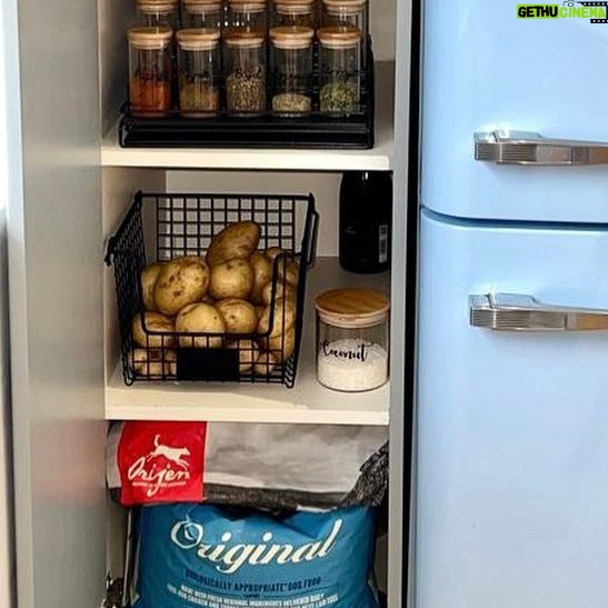 Laura Kenny Instagram - As many of us are trying to make healthier food choices in the new year, I’m also making sure our cupboards are stocked up with all the essentials to make nutritious meals as we start to train again. If we’re looking after our diet, we can’t leave out Sprolo and Pringle, so their meals are packed with protein, vitamins, minerals & healthy fats without unnecessary supplementation. We use ORIJEN, as it mirrors the diet cats & dogs were designed to thrive on in the wild. Perfect for these two energetic rascals #appetiteforadventure @orijen_uk_ireland #ad