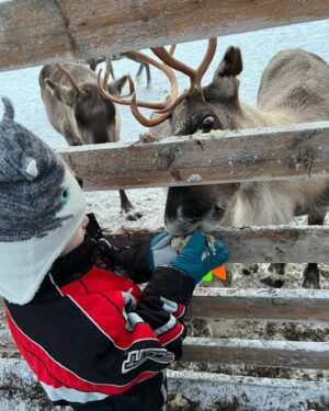 Laura Kenny Instagram - We went to Lapland 5 years ago just the two of us and it was so magical. This year we took Albie along and I feel so full of Christmas happiness. Seeing his little face so happy for the four days melted my heart. I have far too many photos to share. So here is just a few 🎄🎅🏻🤶🏻
