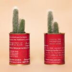Laura Laune Instagram – Dispo sur Trashh.fr 😍

Pour la Saint-Valentin, je revends les commentaires sexistes que je reçois tous les jours sur mes réseaux 👩‍💻🌵 Je les ai mis sur des cactus pour prévenir que c’est un cadeau un peu piquant 🌝 Et pour que les auteurs de ces messages soient utiles au monde, pour chaque cactus, 1€ est reversé à l’ @association_respect_zone qui lutte contre le cyber-harcèlement 👩‍💻 

#RecyclageDeLaConnerieHumaine ♻️