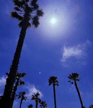 Laura Lentz Instagram - i have looked at these palm trees everyday for the past few months & there are many symbolic meanings to these amazing trees. a few that have resonated with me during this season of my life:
they are strong, can weather the biggest storms, they always grow upwards. freedom, righteousness, 
reward, resurrection just to name a few... i have taken time away from social media because it was not good for my soul, i have blocked & deleted more people & comments than i can count.  trolls are cowards, SOME “Christians” are anything but kind, gracious, or loving...but that won’t stop me from growing upwards & getting stronger.
i have learnt a lot about myself over the past few months. now more than ever i know the kindness of God, His grace, forgiveness & strength. i have found true friendships- the ones who have been with me on the mountaintops are the same ones who are with me during my darkest valley!! i will not forget who abandoned us, but i  choose to keep my heart free of bitterness & remain thankful for those that have stayed & loved us. i don’t want to judge others nor do i want to be judged... one thing a friend told me during this time is, “i would rather be accused of being too gracious toward someone, over being accused of judging someone too harshly”... i want to be  known as a woman who sees the good in people & truly loves people unconditionally...
#youcanonlychangeyou #lovewins #growupwards