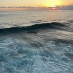 Laura Osma Instagram - Abril me recibió con un tsunami y me dejó naufragando en un mar desconocido; perdida y con la pérdida de todo lo que alguna vez di por conocido. En medio de la nada vi la muerte. El fin. El vacío y el silencio. Ese silencio que es azul oscuro como las profundidades del océano. Donde respirar es imposible y se siente estar muy vivo. En esa inmersión de lo que desconocemos, regresamos al útero de nuestra madre. De donde venimos y buscamos resguardo. Con cada muerte hay un nacimiento y como aquel que abre los ojos, en el primer parpadeo vi borroso; como también veía una luz en la superficie. Entre más hondo me encontraba, más tenía que nadar despacio. Sabía que cuando recibiera los primeros rayos de sol y regresara a la tierra, iba a llegar a una tormenta. Darme vida nuevamente no iba a ser fácil. Era consciente que entre más la tempestad me quisiera ahogar me estaba empujando en ir hacia adelante. Quería ayudarme a volar. Entonces me vi bailando encima de las olas como lo había deseado alguna vez. Podía bailar entre la lluvia y el mar. Había tanta agua dentro de mí que al final todo se volvió sublime y la única manera de darle sentido era ver la vida oníricamente. Aceptar que cada ola que me enviara… iba a ser un respiro de vida. 🌼🐒🩵