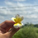 Laura Osma Instagram - Abril me recibió con un tsunami y me dejó naufragando en un mar desconocido; perdida y con la pérdida de todo lo que alguna vez di por conocido. En medio de la nada vi la muerte. El fin. El vacío y el silencio. Ese silencio que es azul oscuro como las profundidades del océano. Donde respirar es imposible y se siente estar muy vivo. En esa inmersión de lo que desconocemos, regresamos al útero de nuestra madre. De donde venimos y buscamos resguardo. Con cada muerte hay un nacimiento y como aquel que abre los ojos, en el primer parpadeo vi borroso; como también veía una luz en la superficie. Entre más hondo me encontraba, más tenía que nadar despacio. Sabía que cuando recibiera los primeros rayos de sol y regresara a la tierra, iba a llegar a una tormenta. Darme vida nuevamente no iba a ser fácil. Era consciente que entre más la tempestad me quisiera ahogar me estaba empujando en ir hacia adelante. Quería ayudarme a volar. Entonces me vi bailando encima de las olas como lo había deseado alguna vez. Podía bailar entre la lluvia y el mar. Había tanta agua dentro de mí que al final todo se volvió sublime y la única manera de darle sentido era ver la vida oníricamente. Aceptar que cada ola que me enviara… iba a ser un respiro de vida. 🌼🐒🩵