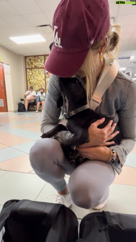 Laura Vandervoort Instagram - While in St. Lucia we saw so many stray dogs and it broke my heart we couldn’t save them all. But I knew we had a couple of passengers coming home with us, which made it a little easier. — There is an incredible animal rescue in St. Lucia called @helpaws (I heard about them because my sister got her dog, Maple from them) — So, we signed up to by ‘Flight Parents’ to bring back two adorable puppies, ‘Meeka’ and ‘Artie’ (brothers) to their wonderful foster families. Helpaws made the transition to the airport, paperwork and the foster hand off seamless. The dogs were so well behaved and quiet. We met awesome foster families at the airport who will take great care of them until they are adopted. If you’re in Canada — Artie and Meeka are available for adoption and the best little guys. We fell in love with them right away. If you’re interested in fostering or adopting in general (Not just in Canada) please check out @helpaws as they are in need of more foster families, flight parents and forever home adopters! The staff at @helpaws were so communicative and kind. They work hard to try to give these little ones a better future and you can be a part of that. Please check them out. 🫶🏻🐶🫶🏻
