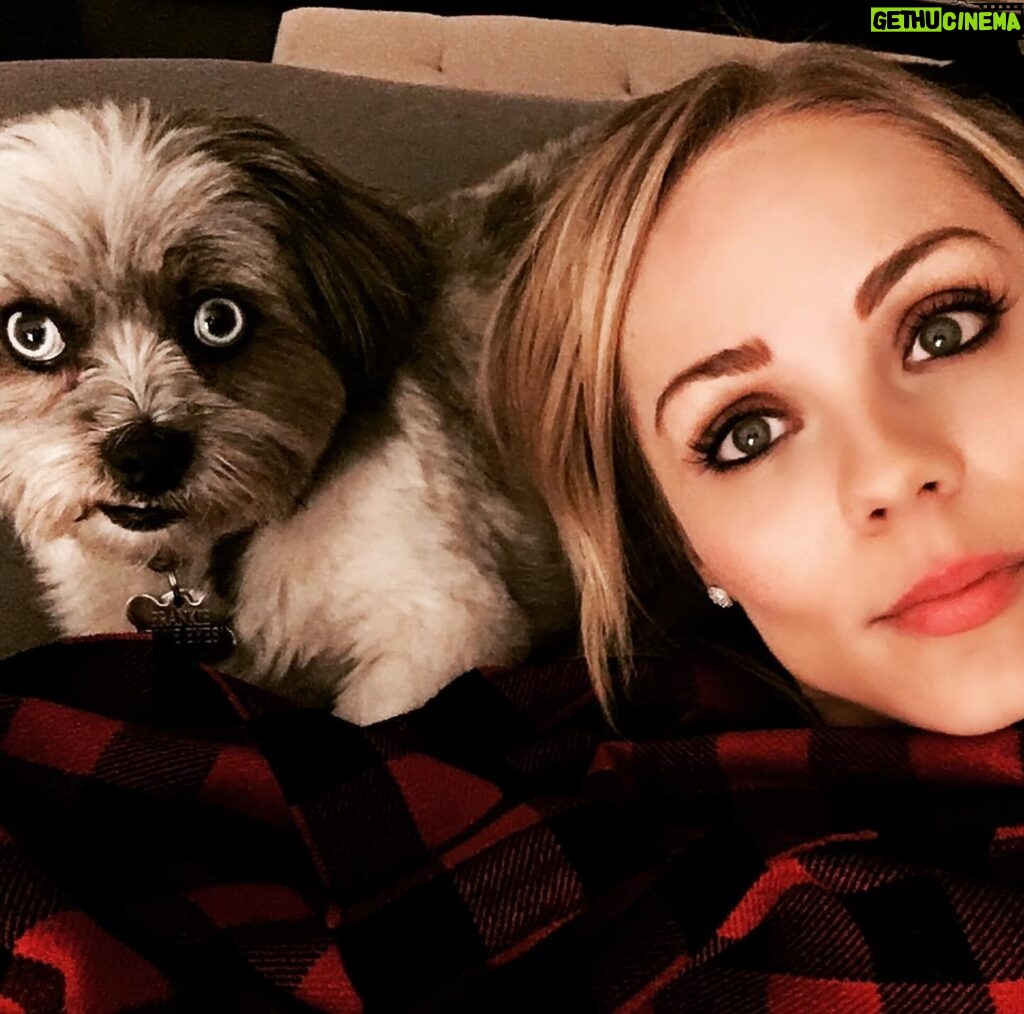 Laura Vandervoort Instagram - 🎉🥰🎉🎂 Frankie. Franklin. Bubs. Baby girl. Peanut. Franks. It’s your (approximate) birthday today. It’s your ‘Got You Day.’ 10 years ago today, @frankie_blueeyes looked up at me from an adoption rescue day in Los Angeles through @lhasahappyhomes 10 years ago we locked eyes. You were the loudest dog there. I asked if I could pick you up. When I did, you snuggled in and stopped barking &I knew it was you I’d been looking for. You made sure you got my attention (and you still do this) and I immediately asked if I could take you home that day. I wasn’t letting you out of my sight again. I was told they found you downtown Los Angeles under a bus stop. Your hair was matted to your face and overgrown. I wondered who could ever let you go. Your human eyes and your spunky personality. But it didn’t matter, because you found your way home. We have been through ALL of the ups and downs together. Traveled all over. You’ve been on movie sets, airplanes and more. You have been my constant companion. My joy. My baby girl. The vet said you were about 2 years old the day I brought you home, so today… you’re (about) 12! Wow, 12! You still have so much spunk and personality. You pee like a male dog & have the confidence of a Rottweiler. You bark at squirrels (and have caught 2 which made me panic but they got away 🤣.) You love to just sit in the yard and stare at the sky. You’ve made my life a thousand times better being in it. Taught me how to care for another living creature and how to be a little more patient. You’re my soul-dog. I’d do literally anything for you. My main goal in buying my first home was purely so that you would have a yard to sit in and stare at squirrels and birds, and you do. 🥰 Thank you for choosing me to be your Momma. Happy Birthday to the bestest girl. I love you with all my heart.