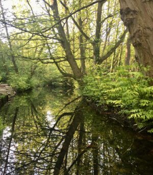 Laure Guibert Instagram - Un poumon dans la ville🌿💚