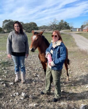 Laurel Holloman Instagram - So I had an amazing Sunday visiting  a new friend’s ranch where she has a non  profit animal rescue .  @dayna.ranchlife  is  a force …. Please follow … more to come.  PLEASE FOLLOW. ❤️❤️❤️