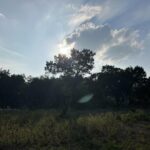 Laurel Holloman Instagram - A little days of heaven from Texas tonight. #austin #texasskies