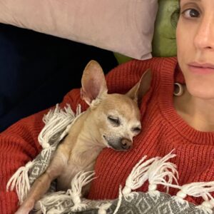 Lauren Lopez Instagram - Happy Gotcha Day to our beautiful angel Diane! Six years ago we made the best decision of our lives and adopted BabyD 🥰 She is the love of our life and it is my greatest honor to cherish her every single day. She is so good, so sweet, so mean to all of our friends (they deserve it!!!!). Every day I think I can't love her more and then I DO and I get kinda scared bc I'm like "if I love her any more I will die?" she has an ATTITUDE and loves NAPPING and will kick your ass if her dinner is even 2 minutes late. A high standards queen! She is our best friend!!!! #rescuedogsofinstagram #rescuedog #adoptdontshop #chihuahua #chihuahuasofinstagram