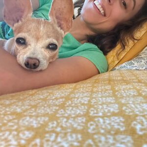 Lauren Lopez Instagram - Happy Gotcha Day to our beautiful angel Diane! Six years ago we made the best decision of our lives and adopted BabyD 🥰 She is the love of our life and it is my greatest honor to cherish her every single day. She is so good, so sweet, so mean to all of our friends (they deserve it!!!!). Every day I think I can't love her more and then I DO and I get kinda scared bc I'm like "if I love her any more I will die?" she has an ATTITUDE and loves NAPPING and will kick your ass if her dinner is even 2 minutes late. A high standards queen! She is our best friend!!!! #rescuedogsofinstagram #rescuedog #adoptdontshop #chihuahua #chihuahuasofinstagram