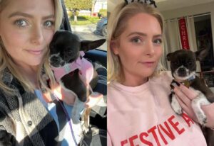 Lauren Ash Instagram - Jan 1, 2023 and Dec 31, 2023

A year with my sweet Bean! Bean, I brought you home when my heart needed help healing and you have been the biggest blessing to me in the world. You make me laugh every day. The silliest, sweetest and most loyal dog I know. Here’s to so many more years together! 

Shout out to @dogswithoutborders for rescuing her and to @juliavickerman and @scharpling for fostering her! 

#adoptdontshop #rescuedogsofinstagram #rescueisthebestbreed #rescueismyfavoritebreed