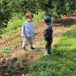 Lauren Collins Instagram - It’s the video at the end for me. Happy Fall Y’all 🍏👬🍎