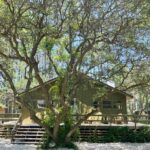 Lauren Liess Instagram - Can’t wait to share this whole place with you!! The Beach Cabin was one of our most memorable projects in my new book, Beach Life. Restoring places at the beach has become a passion of ours and this one was truly an honor to get to work on!! {beach life is available now for preorder with a May 21st delivery date just in time for Memorial Day!!} #wander #beachlife #grounding