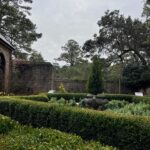 Lauren Liess Instagram - Garden dreaming at the @elizabethangardens 🌿 one of my favorite places to visit- especially in the winter when I’m really missing the green. Live oaks, budding daffodils a forest full of blooming star magnolias & camellias greeted us this time. I love being down in the Outer Banks and this trip was no exception 🌊 it’s always good for the soul. My next book - BEACH LIFE- comes out the weekend before Memorial Day to kick off the summer and it’s all about beach life- interiors, people places food, and how our minds bodies are affected by being near the ocean and how we can use that special time to find our truest selves 🤍 it’s filled with personal stories (lol goes way back to when D and I first met, chronicles how we found and fixed up @thelostcottage and finishes off with our most recently finished project- Dune House- and how some healing has been needed after that one.) BEACH LIFE: HOME, HEART & THE SEA is available now on preorder and I really think you’ll love this one 🤍 ok and one PSA because it’s that time of year again and because it’s in these pictures- NO. MORE. “crepe murder!” Lol PLEASE just don’t do it to your crepe myrtles!!! 🤣🤗