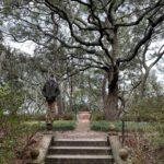 Lauren Liess Instagram - Garden dreaming at the @elizabethangardens 🌿 one of my favorite places to visit- especially in the winter when I’m really missing the green. Live oaks, budding daffodils a forest full of blooming star magnolias & camellias greeted us this time. I love being down in the Outer Banks and this trip was no exception 🌊 it’s always good for the soul. My next book - BEACH LIFE- comes out the weekend before Memorial Day to kick off the summer and it’s all about beach life- interiors, people places food, and how our minds bodies are affected by being near the ocean and how we can use that special time to find our truest selves 🤍 it’s filled with personal stories (lol goes way back to when D and I first met, chronicles how we found and fixed up @thelostcottage and finishes off with our most recently finished project- Dune House- and how some healing has been needed after that one.) BEACH LIFE: HOME, HEART & THE SEA is available now on preorder and I really think you’ll love this one 🤍 ok and one PSA because it’s that time of year again and because it’s in these pictures- NO. MORE. “crepe murder!” Lol PLEASE just don’t do it to your crepe myrtles!!! 🤣🤗