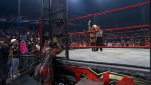 Lauren Williams Instagram - 15 years ago today, I won my first major Championship. I was so excited, so proud and ready to lead. My parents were in the crowd and my friends were both in the ring and outside the ring. I was so happy management trusted me and my abilities. I was having the time of my life! 

Although the ending didn’t go exactly as we planned and I got a concussion live on PPV, I somehow kept going and my co-workers were absolute pros getting me to the finish line. Sh*t happens in wrestling matches, you never know when you’re going to have to ad-lib on the fly! We got the job done and I’ll forever be proud of this moment 🤗❤️