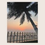 Lavina Tandon Instagram - April photo gallery !!! . . . April 2024 You have been amazing ❤️ Thank you for making me connect with all the old and new ones. It has really been special 🌻