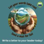 Lavina Tandon Instagram - SAVE OUR SOIL 🌎 🌱💧 . . . Happy world earth day 🌱 Namaskaram everyone ! As a people of the Earth, it’s our responsibility to protect our soil and save our earth for us and our future generations. So please come and Join me in writing a letter to our political leaders for soil health at https://consciousplanet.org/en/save-soil/letters . . . Let’s take action, write a letter today !!! The link is in my bio too. Dhanyawaad 🙏🏻 @sadhguru for this initiative ❤️ #postoftheday #saveearth #saveyourself #SaveSoil #Soilforclimatechange #PlanetvsPlastic #Earthday