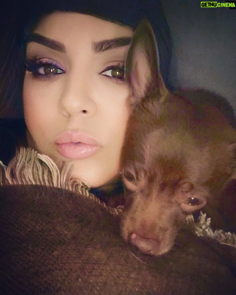 Layla El Instagram - Quality time with one of my babies #chino 💓