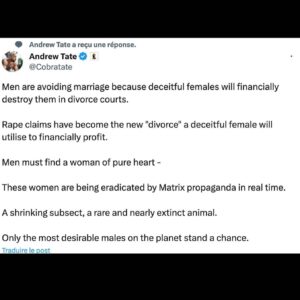 Léa Clermont-Dion Instagram - La journaliste Léa Carrier de La Presse subit un campagne de haine pour avoir documenté l'influence d'Andrew Tate sur des jeunes Québécois. J'exprime ma solidarité à son endroit. Encore une fois, certains tentent de faire taire une femme. ll faut dénoncer cette violence, cette misogynie. @leatipt0n