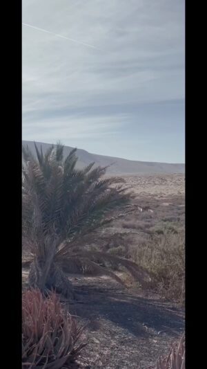 Lea van Acken Instagram - todays chance to BE in the moment…listen to the wind 🌬️ loved this desert beauty…