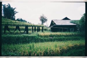 Leah Lewis Instagram - I write from across the world from where I was recently and nostalgia rolls over the brief search as I gather more photos to share. A couple moments feel timeless for me. They make me curious for more. Who put that drying clothing on after I passed through? Has the grass yellowed with the turn of the newest season? Do the street food frog legs taste better this month? I do not know - But I do love the lil tokens that bring me so much joy to have just been there when I was. 🤞🏽
