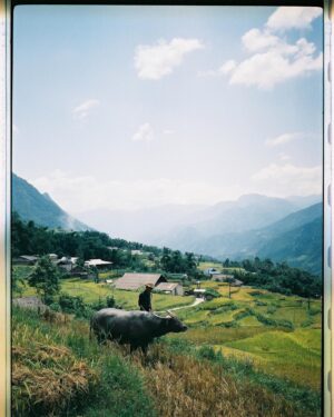 Leah Lewis Instagram - Saved my favorite photo for last. Viet, I’ll be back to explore the southern part of your heart next time soon. Count on it. 🇻🇳🤞🏽❤️

#35mm