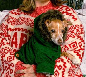 Lee Newton Instagram - HAPPY HOLIDAYS FROM THE CHEESES!! 🧀🎄🎅🏻🕎 🐕💕 
(Swipe thru for treasures)