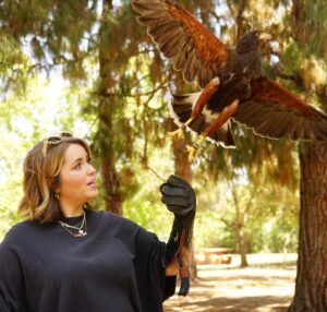 Lee Newton Instagram - Was I 💯 convinced that this Hawk was a human man trapped in a bird body and needed me to break his bird curse with a smooch. Yes. Can you see the palpable sexual tension betwixt the two of us in these photos- UHHH, YES. Thank you @hawkonhand for introducing us, and for such an educational, delightful time! (Legitimately if you’re in the LA  area this was such an INCREDIBLE EXPERIENCE!!! Do it!!!) 
Ps. The owls name is Archie 🥹🦉!!!