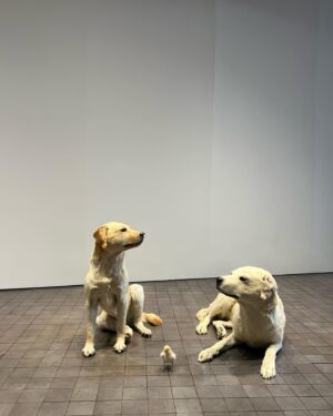Lee Yo-won Instagram - #마우리치오카텔란  #마우리치오카텔란we #MaurizioCattelan